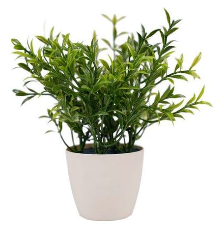 Бонсай искусственный юрий сергеевич шевчук крах проекта человечество