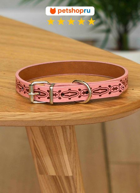 Ошейники, шлейки PETSHOP Ошейник для собак (27-37 см) кей ларри перонди крис собака которая умеет всё пошаговое руководство по 118 удивительным трюкам