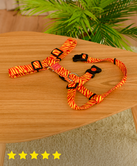 Ошейники, шлейки Tappi амуниция Шлейка из стропы 