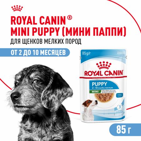 Консервы, паучи Royal Canin паучи Для щенков мелких пород в возрасте до 10 месяцев, кусочки в соусе, Mini Puppy (28 шт)