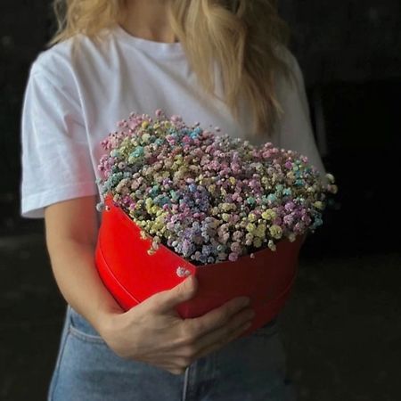 Букет живых цветов ШОПЕН Сердце из радужной гипсофилы