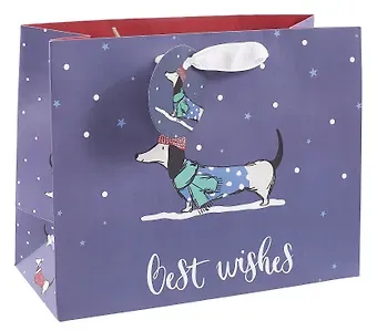 Пакет А5 18*23*10 