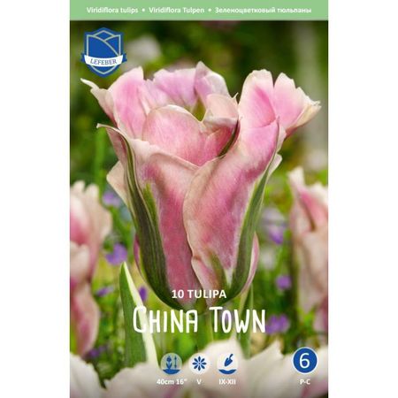 Тюльпан Lefeber China town 10 шт