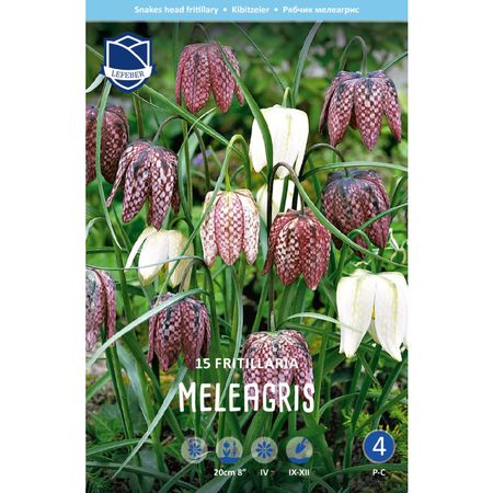 Фритиллярия Lefeber Meleagris 15 шт