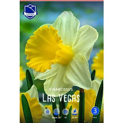 Нарцисс Lefeber Las Vegas 5 шт