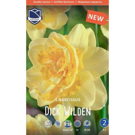 Нарцисс Lefeber Dick wilden 5 шт