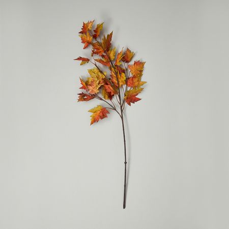 Ветвь Осенний лес/Autumn forest II