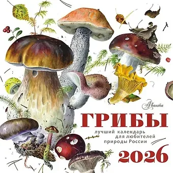 Календарь 2026г 290*290 