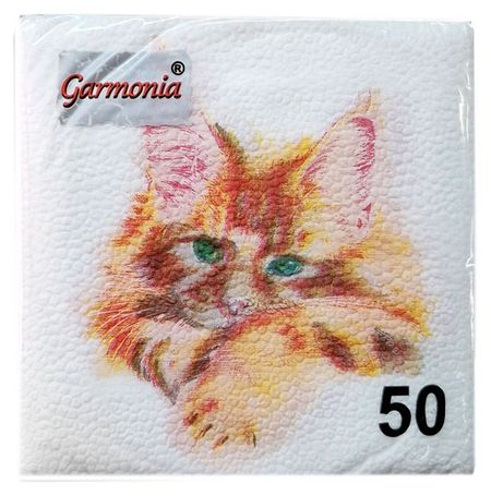 Салфетки одноразовые бумажные Garmonia Мейн-кун 1 слой, 24х24 см, 50 л
