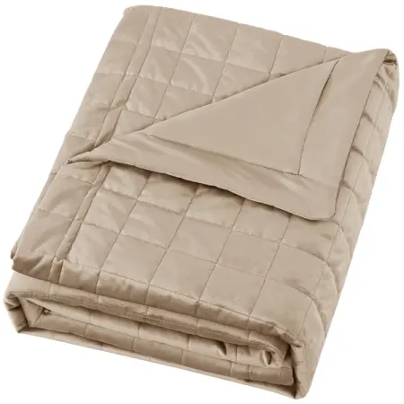 Покрывало INSPIRE Etna 240x220 см велюр цвет бежевый рождественские наволочки полиэстер велюр 45x45 см