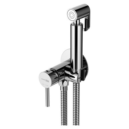 Смеситель для биде WasserKRAFT с гигиенической лейкой A70138 ручной   опрыскивателей для биде из латуни