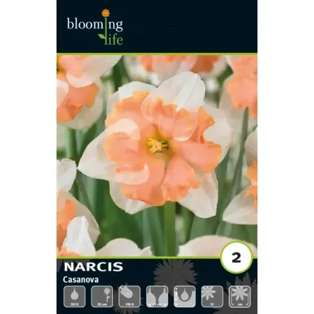 Нарцисс орхидейный Казанова луковицы 10/12 джакомо джироламо казанова моя последняя любовь философия искушения