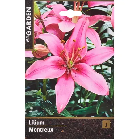 Лилия азиатская Монтре россия в английской графике европейская азиатская и американская части в царствование екатерины ii и павла i 1762 1801 гг