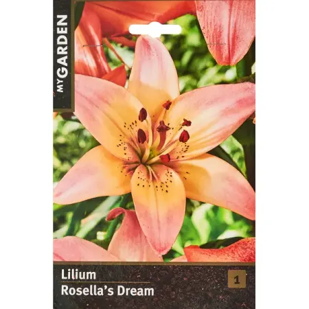 Лилия азиатская Розеллас Дрим тория дрим притворись бабочкой с автографом