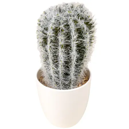 Искусственное растение в горшке Dream River Кактус 17.5 см