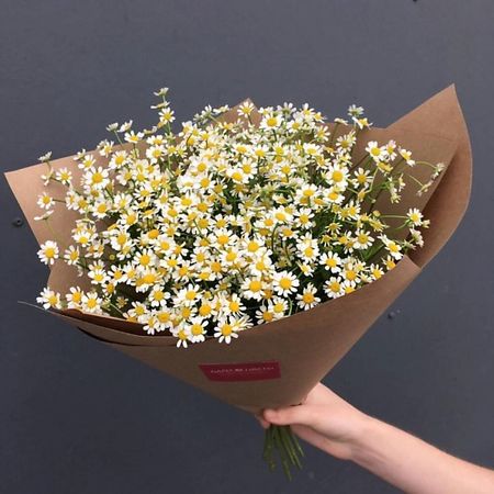 Букет живых цветов ДАРИ ЦВЕТЫ Букет «ромашка»