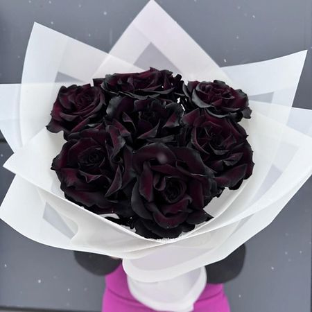 Букет живых цветов ДАРИ ЦВЕТЫ Букет из 7 черных французских роз букет живых ов дари ы букет 11 французских роз с зеленью