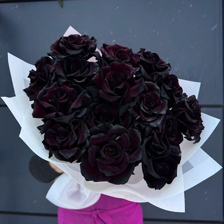 Букет живых цветов ДАРИ ЦВЕТЫ Букет из 15 чёрных французских роз букет живых ов дари ы букет 11 французских роз с зеленью