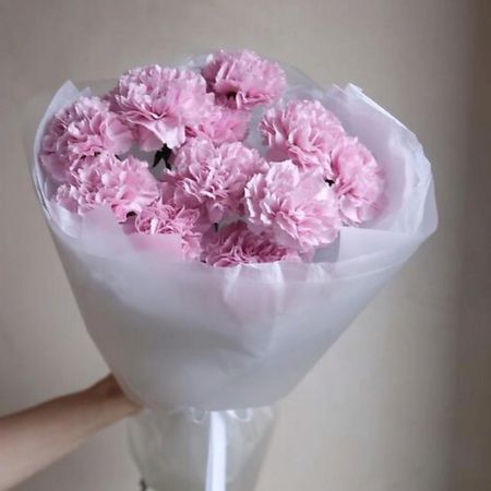 Букет живых цветов ДАРИ ЦВЕТЫ Букет из 11 розовых гвоздик