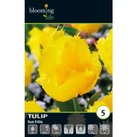 Тюльпан бахромчатый Сан Фриллс луковицы 12