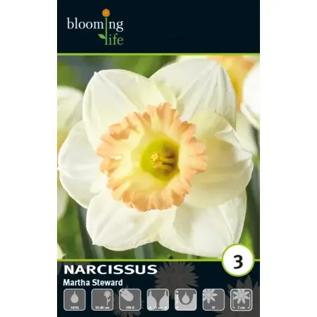 Нарцисс крупнокорончатый Марта Сворд луковицы 14/16
