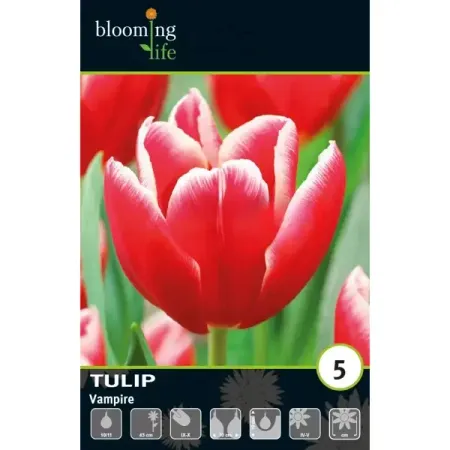 Тюльпан Триумф Вампир луковицы 10/11 суэхиро маруо смеющийся вампир том 1 манга