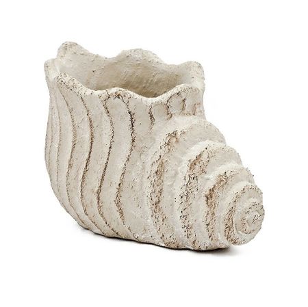 Кашпо Glasar Ракушка 23х14х15 см (C5475)