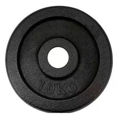 Блин для штанги крашеный Gold, 10 кг