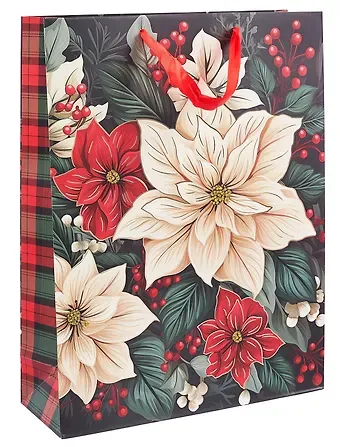 Пакет А3 32*42*11,5 