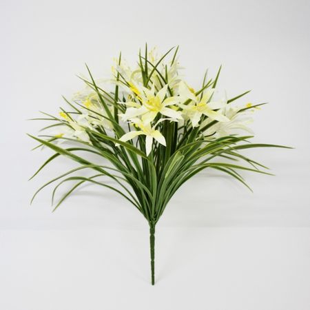 Лилейник искусственный Конэко-О белый м а носаль лекарственные растения и способы их применения в народе