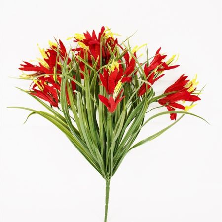 Лилейник искусственный Конэко-О красный м а носаль лекарственные растения и способы их применения в народе