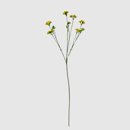 Гвоздика Конэко-О искусственная, жёлтая 65 см м а носаль лекарственные растения и способы их применения в народе