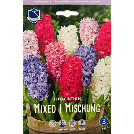 Смесь гиацинтов Lefeber 10 шт