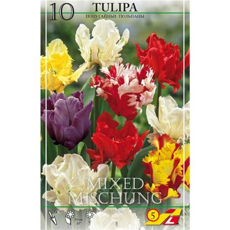 Смесь тюльпанов Lefeber Попугайные 10 шт