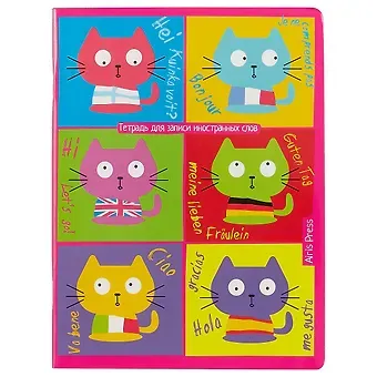 Тетрадь для записи иностранных слов Айрис, 