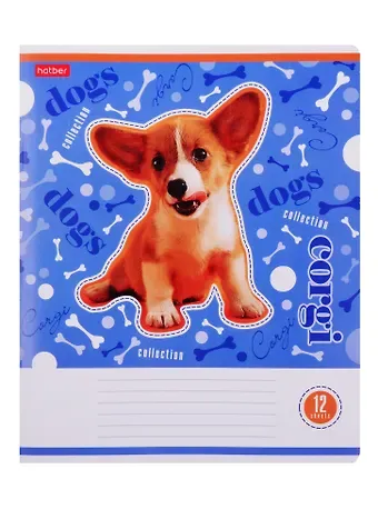 Тетрадь в клетку Hatber, 