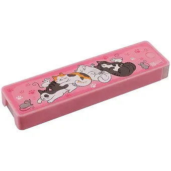 Пенал школьный 