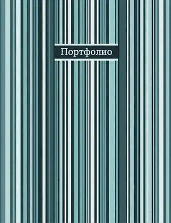 Портфолио универсальное Фактура полосы А4(253*310*25мм) на кольцах, 40 файлов ПВХ, обложка пластик