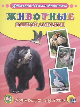 ОБУЧАЮЩИЕ КАРТОЧКИ. ЖИВОТНЫЕ ЮЖНОЙ АМЕРИКИ
