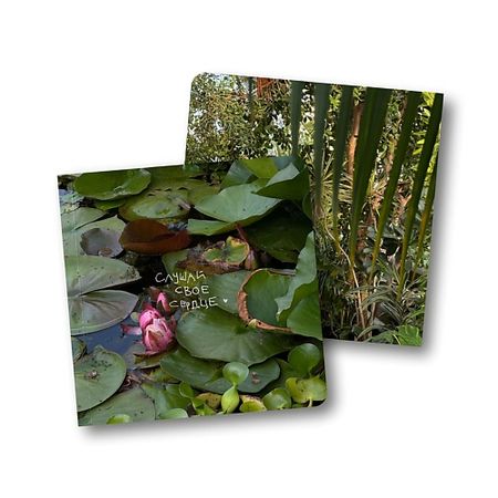 Блокнот ОПРОКИНУТЫЙ ЛЕС Блокнот в точку квадратный 'слушай своё сердце' квадратный блокнот из искусственной