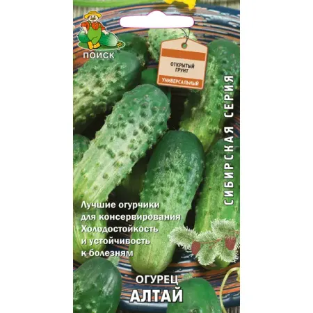Семена Огурец Алтай Поиск фиточай алтай 2 для женщин с боровой маткой ф п 20