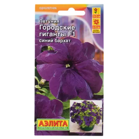 Семена цветов Аэлита петуния Городские гиганты Синий бархат