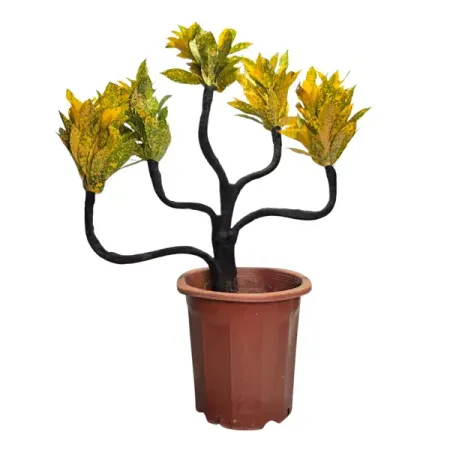 Кодиеум Вариегата Бонсай ø26 h55 см искусственные бонсай мerylover зелёные