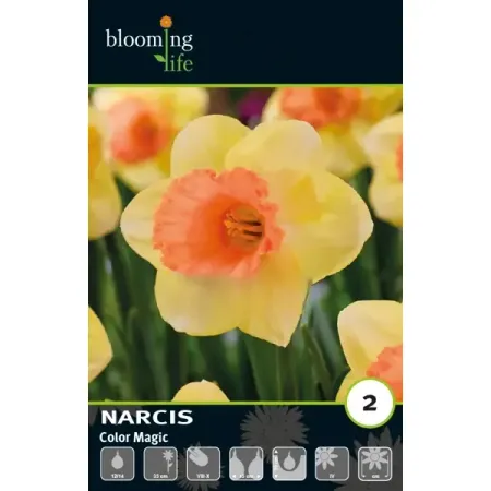 Нарцисс крупнокорончатый Колор Меджик луковицы 12/14