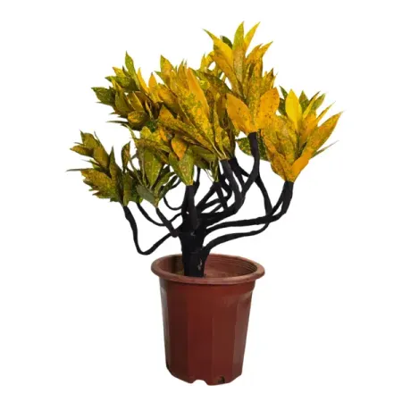 Кодиеум каскадный Вариегата Бонсай ø26 h55 см искусственные бонсай мerylover зелёные