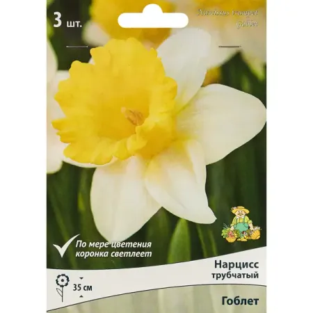 Нарцисс трубчатый Гоблет луковица 10/12, 3 шт. колодка 2 гнезда эра с зазeмлением белая