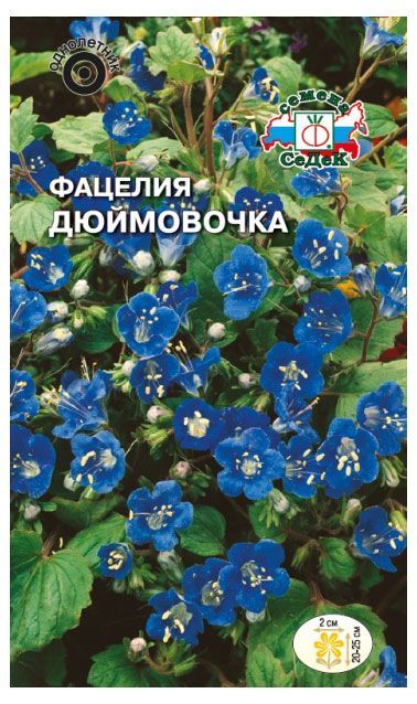 Фацелия СеДеК Дюймовочка, 0,5 г солнечные зайчики раскраски и головоломки
