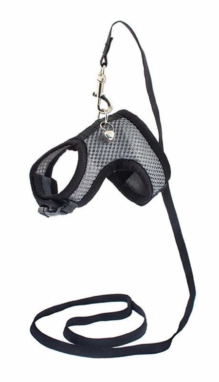 Шлейки Yami Yami амуниция Шлейка+поводок для хорьков/кроликов (21-26 см)