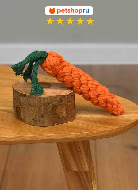 Для дома PETSHOP Игрушка для собак, морковка, 15 см (15 см) игрушка из шерсти зайчик с морковкой