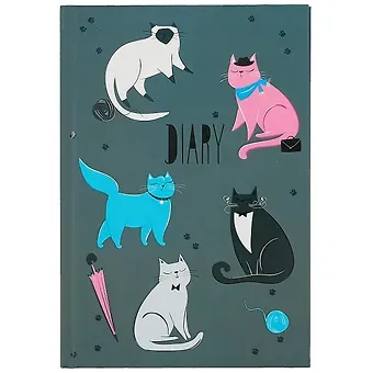 Ежедневник недат. А5 80л 